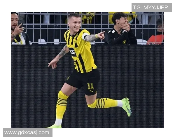 欧冠激战:那不勒斯与多特蒙德平局引发全场热议与数据分析